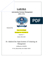 Lab File: Information Systems Management (BBA-305)
