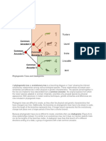 Science (Reading For Meaning) - 1