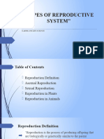 Types of Reproductive System 2