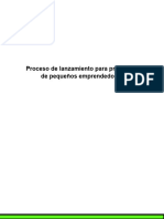 Proceso de Lanzamiento para Productos de Pequeños Emprendedores