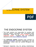 Lesson 1.2 The Endocrine System Complete