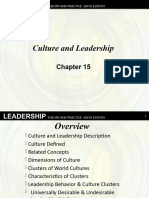 15 Culture and Leadership