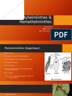 Platyhelminthes & Nemathelminthes PDF