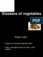 Vegetable Diseases 2