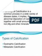 Etiology and Morphology of Calcification