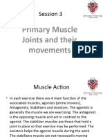 Session 3 Primery Muscles Joints Movements