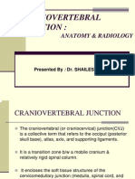 CRANIOVETEBRALJUNCTION