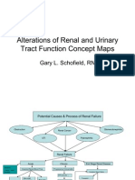 Renal Concept Map