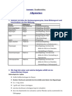 Anatomie Krankheitslehre