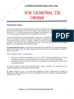 Examen General de Orina Introduccion-Anatomia