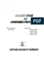 Consumer Protection Project-1