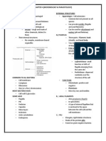 Micropara: Chapter 4 Notes