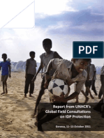 Global Field Consutation On IDP Protection FINAL