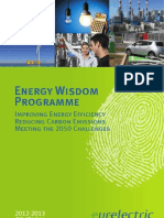 The EURELECTRIC Energy Wisdom Programme (EWP) : Improving Energy Efficiency Reducing Carbon Emissions Meeting The 2050 Challenges