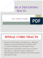 Ascending & Descending Tracts: Dr. Aneela Jamil