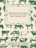 Breeding and Rearing of Cattle - Milk and Beef Production