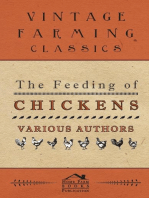 The Feeding of Chickens