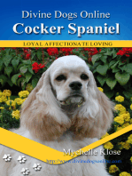 Cocker Spaniel