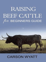 Raising Beef Cattle for Beginner's Guide: Homesteading Freedom