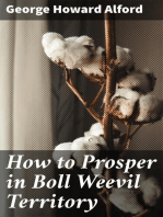 How to Prosper in Boll Weevil Territory