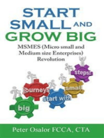 Start Small And Grow Big: Micro, Small And Medium Size Enterprises Revolution