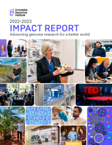 Cover of the IGI Impact Report