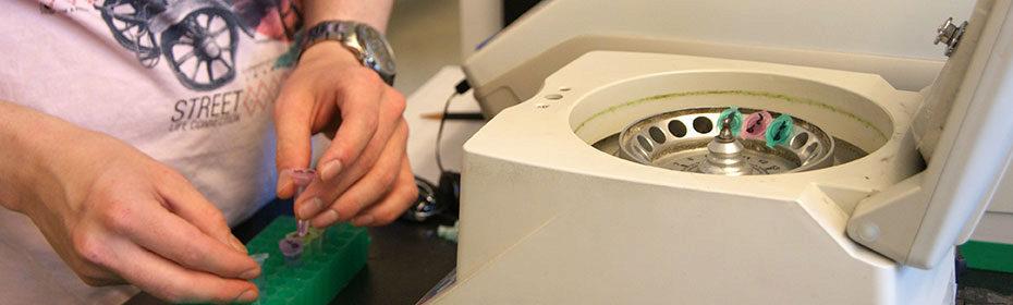 Samples being prepared for the Centrifuge