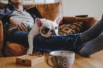 Person lounging on the couch with a dog in their lap because they "work for the weekend"