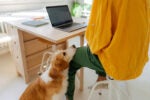 Dog waiting patiently for his owner to finish working on their laptop