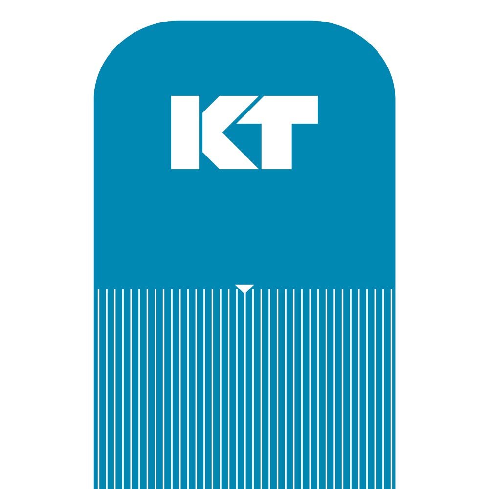 KT Tape KT Pro Tape Precut (5 x 25cm) - 20 pcs