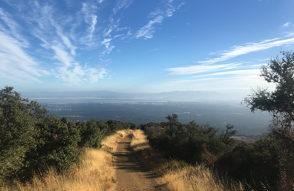 Hiking and Outdoor Book Collection