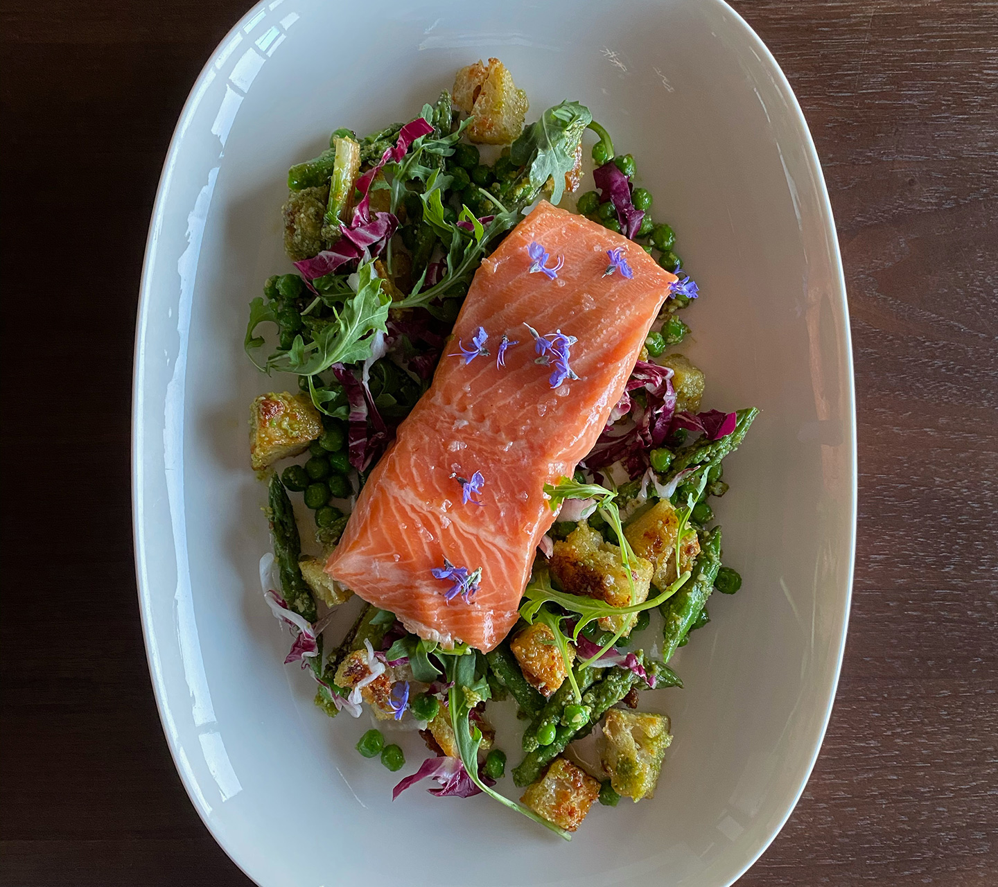 Sous Vide Salmon and Panzanella | Signature Kitchen Suite