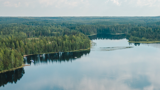 Lago suggestivo circondato da alberi