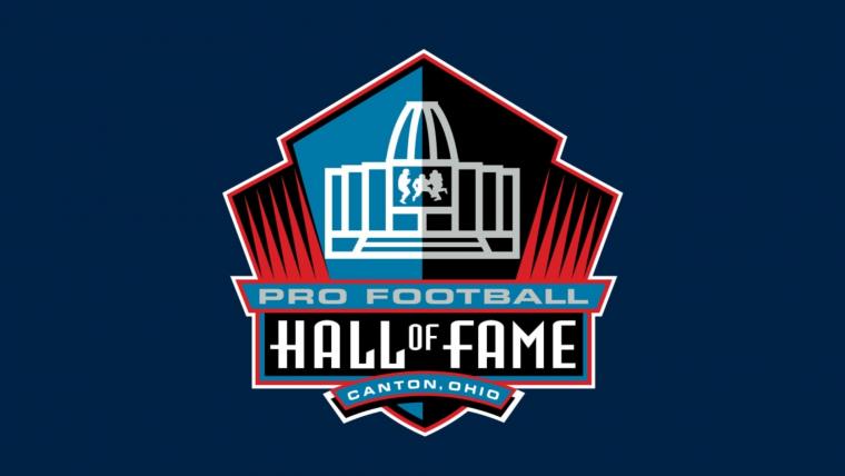 Meet the NFL's 2024 Hall of Fame class, including Devin Hester and Andre Johnson image