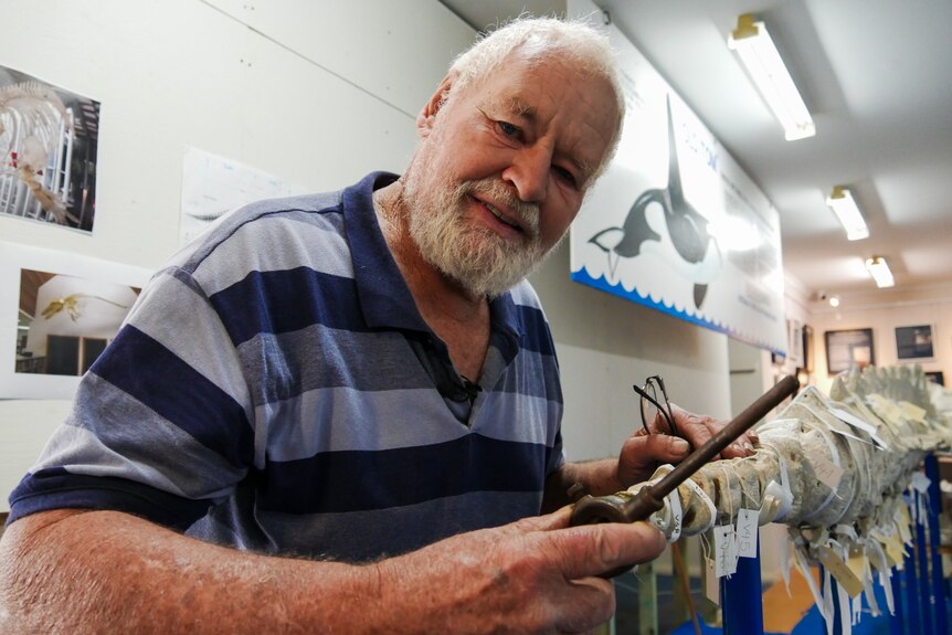 a man smiles into the camera at the tail end of a whale skeleton