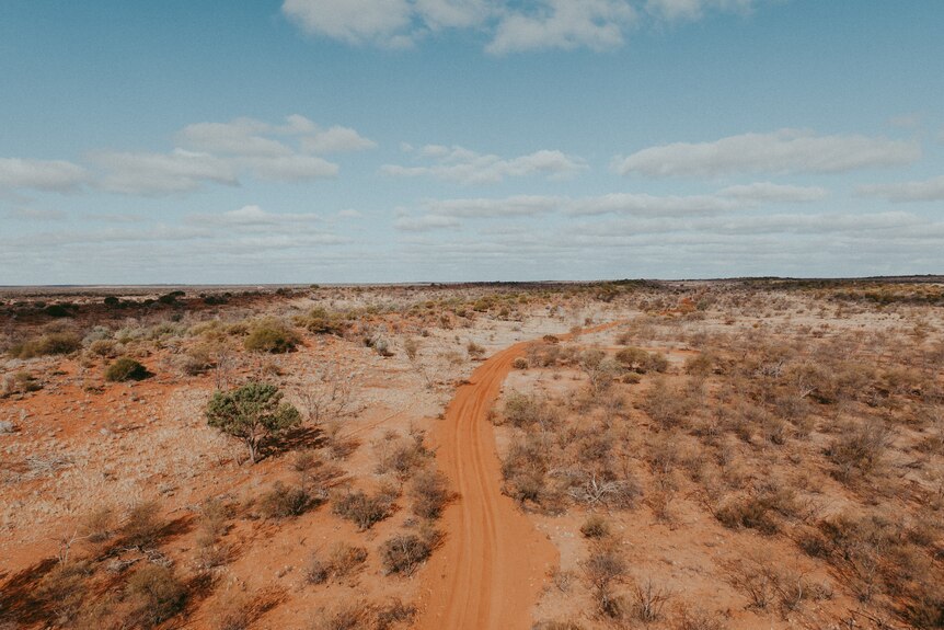 A red dirt road amongst a dry cattle station with dying shrubs