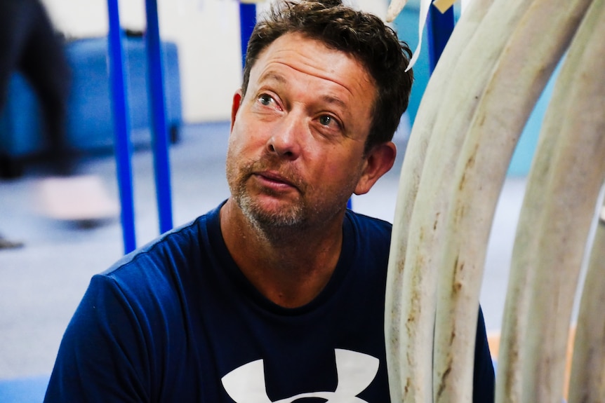 A man smiles up at a colleague whilst next to a whale's ribcage