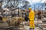 A search and rescue worker in burnt Lahaina