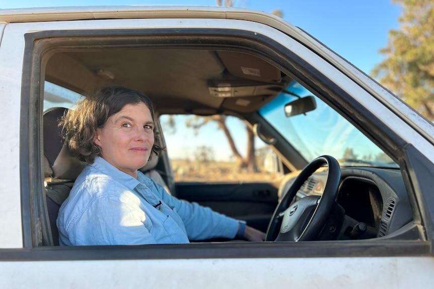 Woman in ute feeding sheep