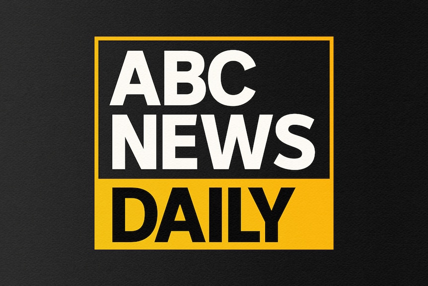 ABC News Daily