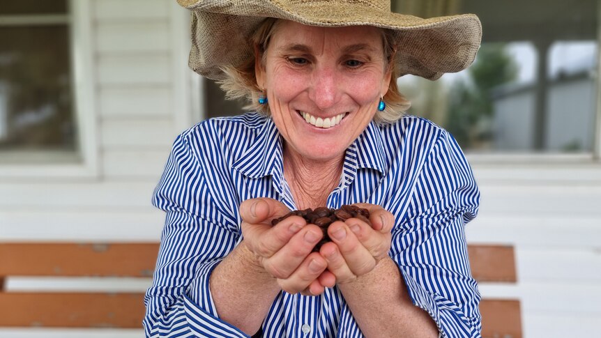 A woman in a hat and blue shirt holds jojoba seeds in her hands.