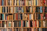 Rows of dozens of books on shelves