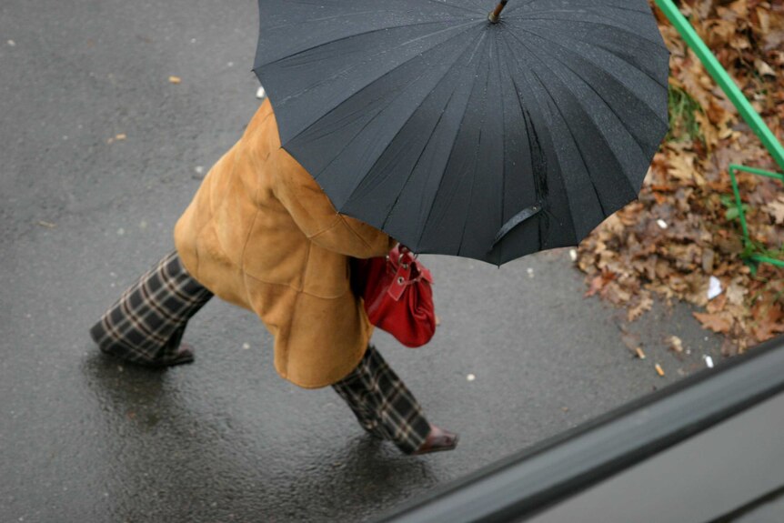 Woman walks through the rain with an umbrella in autumn.