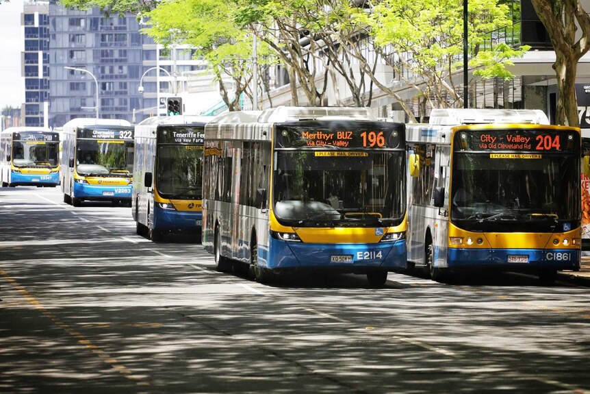 Buses in Adelaide Street in Brisbane city on January 11, 2021.