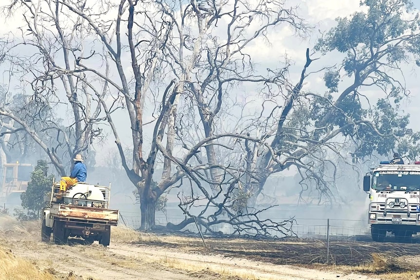 Trucks, utes, and earthmoving equipment fighting a fire.