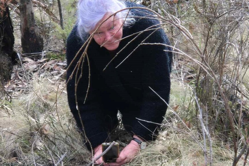 Women bending down in bushland to photograph a flower with a phone.