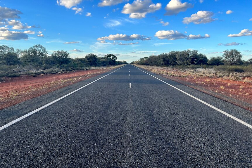 Stretch of bitumen road with trees either side 