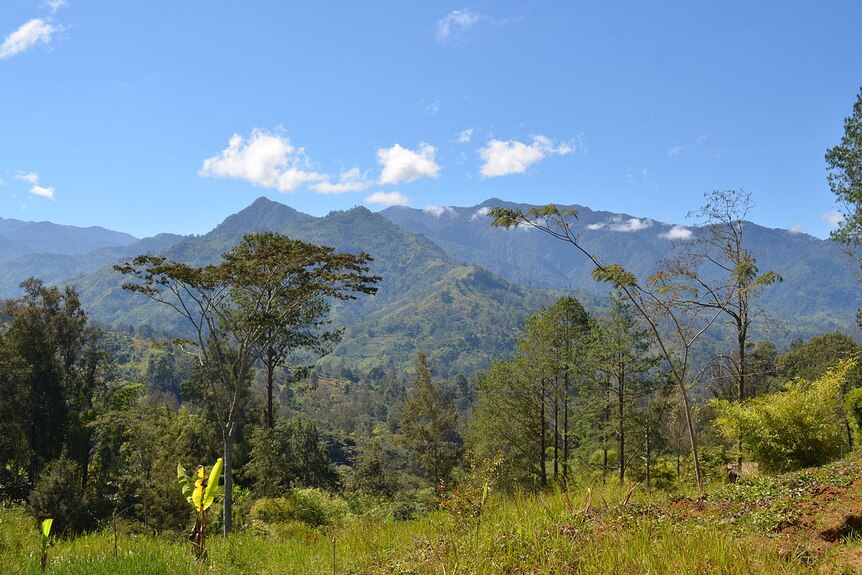 A landscape in the New Guinea Highlands.