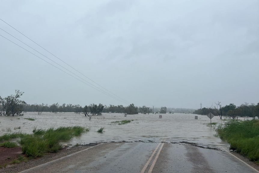 A photo showing a flooded road with windy trees. The road is impassable. 