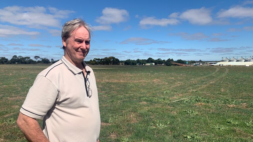 A man in a grey polo shirt stands in a green field under a blue sky.